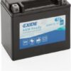 Exide YTX14-BS 12Ah 200A AGM +/- akumuliatorius